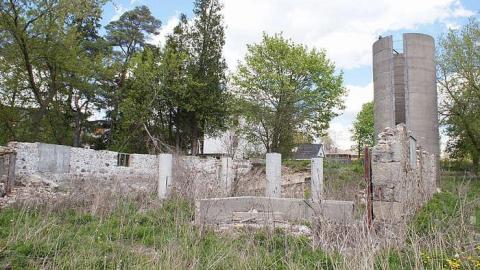 17/05/2016 - The Feels... - Maybe-Tomorrow4.jpg