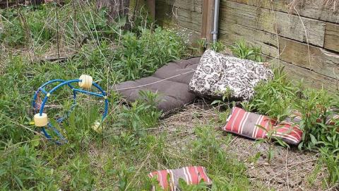 17/05/2016 - The Feels... - Maybe-Tomorrow7.jpg