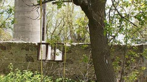 17/05/2016 - The Feels... - Maybe-Tomorrow8.jpg