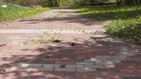 17/05/2016 - The Feels... - Maybe-Tomorrow9.jpg