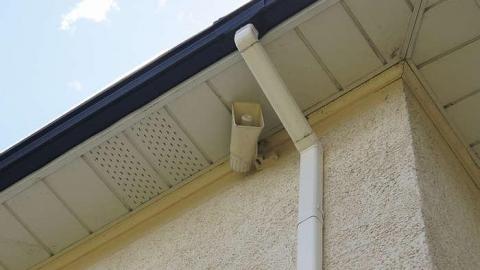 17/05/2016 - The Feels... - Maybe-Tomorrow11.jpg