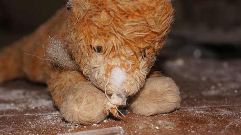 17/05/2016 - The Feels... - Maybe-Tomorrow17.jpg