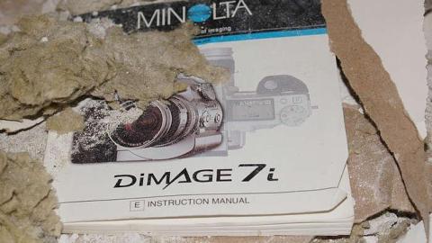 17/05/2016 - The Feels... - Maybe-Tomorrow19.jpg