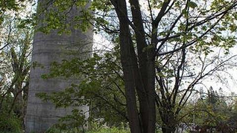 17/05/2016 - The Feels... - Maybe-Tomorrow28.jpg