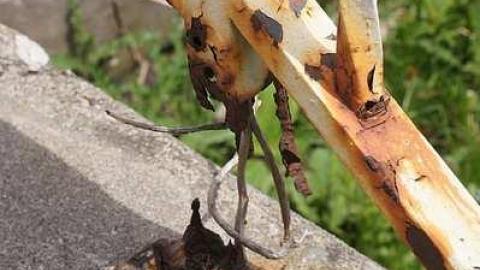 Haunted House of Horrors photo 2