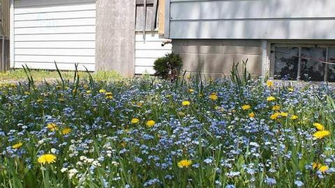 17/05/2016 - Damn, It's Creepy - Haunted-House-of-Horrors17.jpg