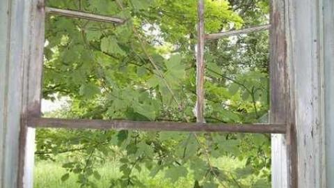 house and barn - abandoned house 035.jpg
