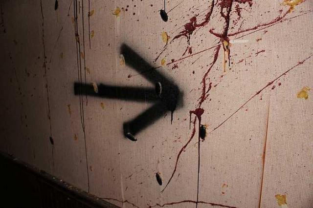 Haunted House of Horrors photo 5