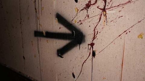 Haunted House of Horrors photo 5