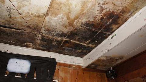 17/05/2016 - Damn, It's Creepy - Haunted-House-of-Horrors9.jpg