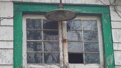 hidden treasure - 100_7063.jpg