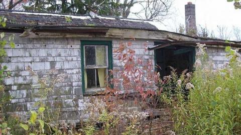 hidden treasure - 100_7066.jpg