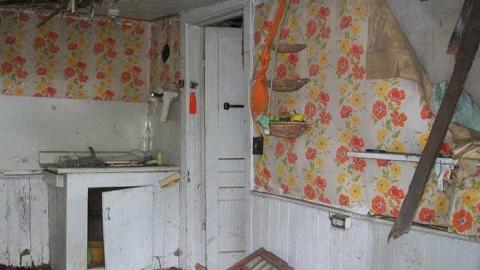 hidden treasure - 100_7068.jpg