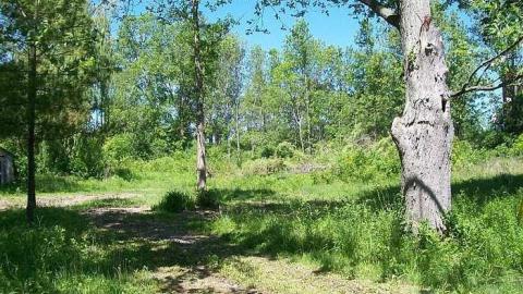 hidden treasure - 120.jpg