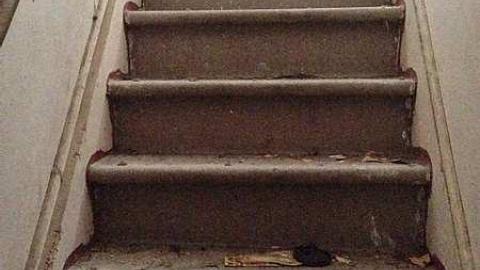 May 2016 - CLARKSON_HOUSE-9.jpg