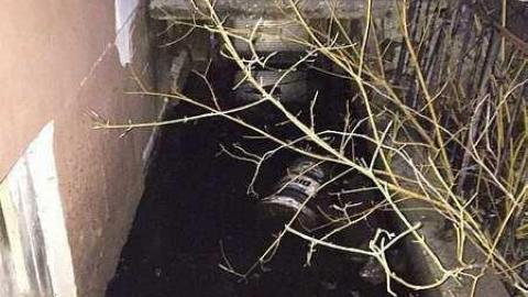 Dark and Waterlogged photo 5