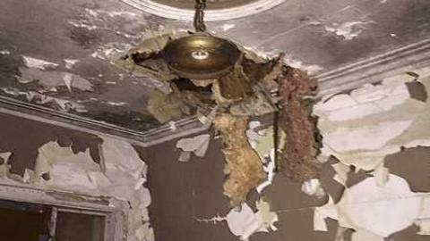 April 2016 - IMG_7454.jpg