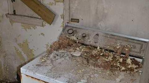 April 2016 - House-with-a-View205.jpg