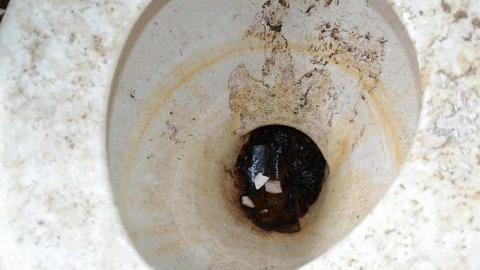 April 2016 - House-with-a-View210.jpg