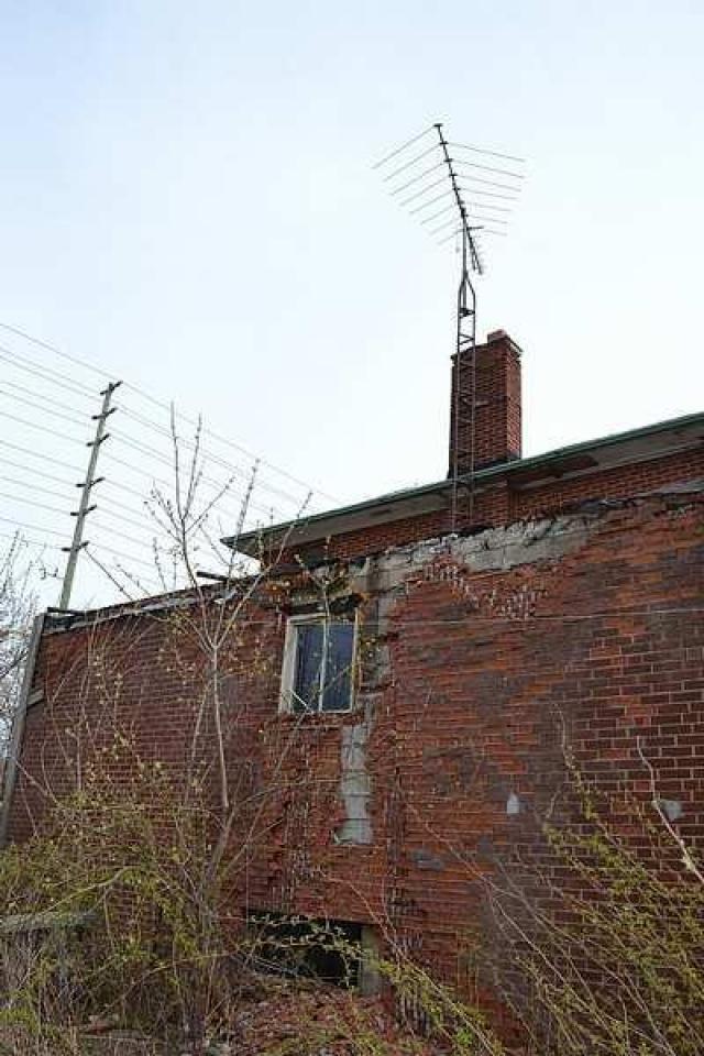 Ribs And Razors photo 2