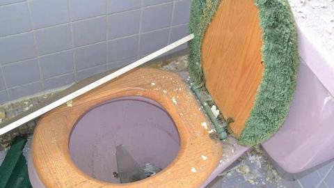 April 2016 - DSC_0165.jpg