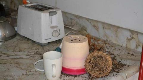 April 2016 - DSC_0173.jpg