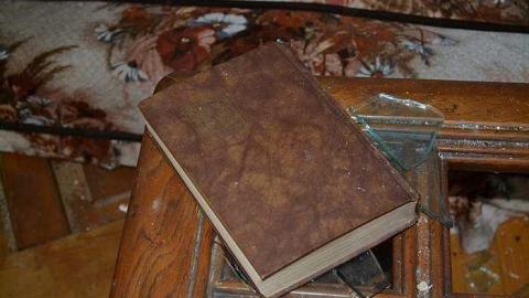 April 2016 - DSC_0181.jpg