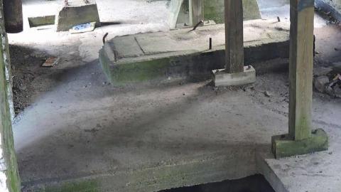 spring 2016 visit - Darnley-Mill-Crooks-Hollow125.jpg