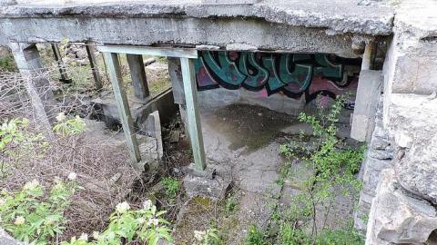 spring 2016 visit - Darnley-Mill-Crooks-Hollow110.jpg