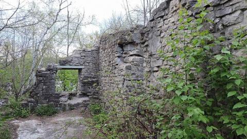 spring 2016 visit - Darnley-Mill-Crooks-Hollow111.jpg