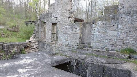 spring 2016 visit - Darnley-Mill-Crooks-Hollow119.jpg