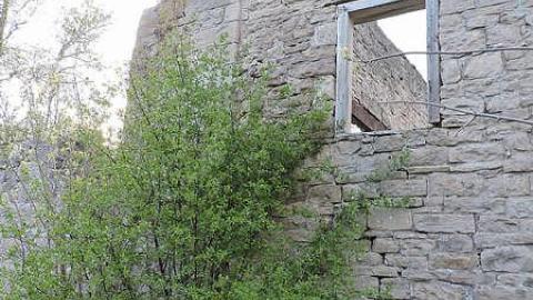 spring 2016 visit - Darnley-Mill-Crooks-Hollow116.jpg