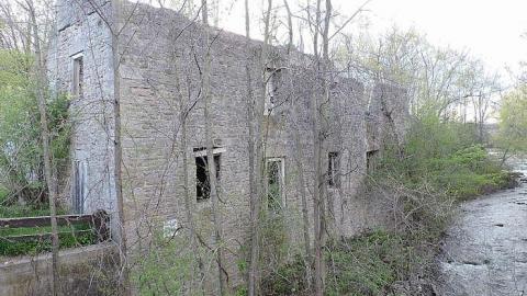 spring 2016 visit - Darnley-Mill-Crooks-Hollow124.jpg