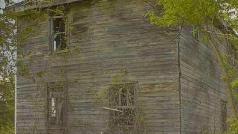 Wooden It Bee Nice - m-4OAP Middlesex CEMS 024_St 4_1.jpg