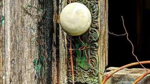 Wooden It Bee Nice - l-OAP Middlesex CEMS 042__4_rreal 2_1.jpg