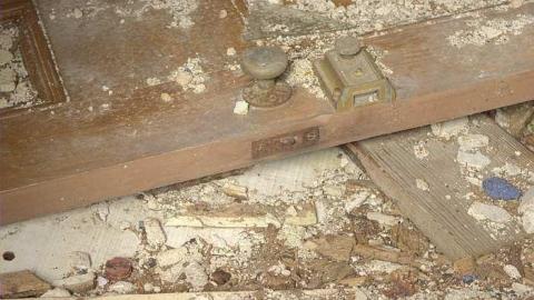 Wooden It Bee Nice - i-OAP Middlesex CEMS 060_1_2_Soft 2.jpg