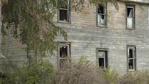 Wooden It Bee Nice - t-OAP Middlesex CEMS 096__8_Sft 3.jpg