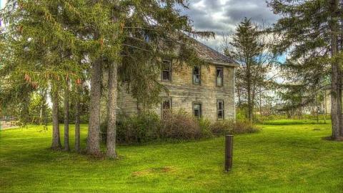 Wooden It Bee Nice - d-OAP Middlesex CEMS 099_100_101_interly 2.jpg