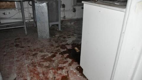 Century Manor - Century-Manor-Asylum333.jpg