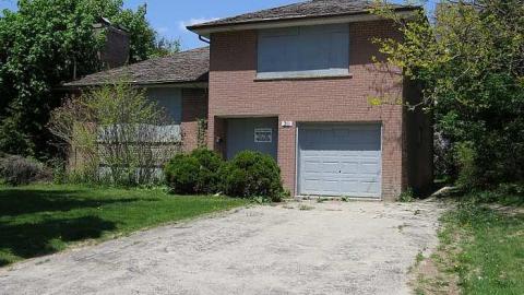 Kinda Surreal - h-IMG_3966.jpg