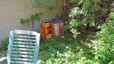 Kinda Surreal - p-IMG_3970.jpg