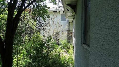 Kinda Surreal - g-IMG_3980.jpg