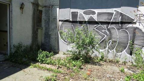 Kinda Surreal - c-IMG_3981.jpg