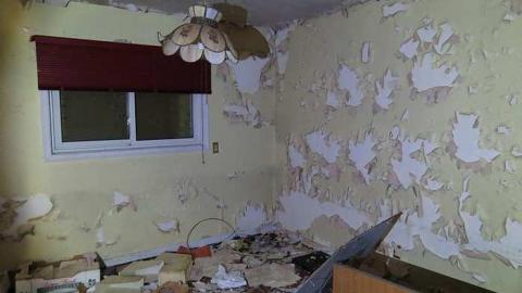 Kinda Surreal - h-IMG_3987.jpg