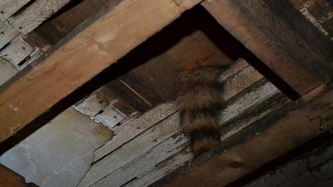 May 2016 - Non-Chalaunt33.jpg