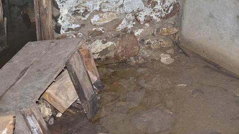 May 2016 - Non-Chalaunt42.jpg