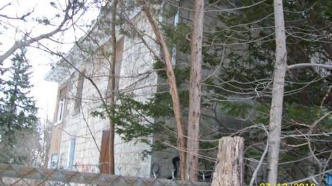 Jay's Pics - 100_0878.jpg