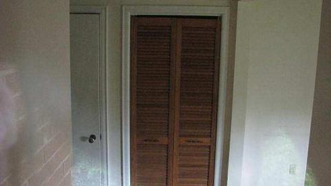 Photo from In the Trees