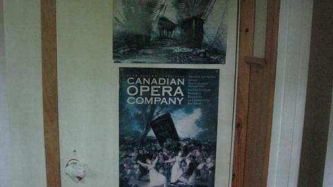 Photo from In the Trees