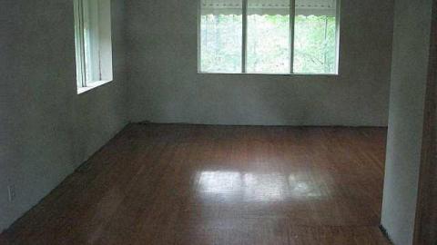 In the Trees - l-6.jpg